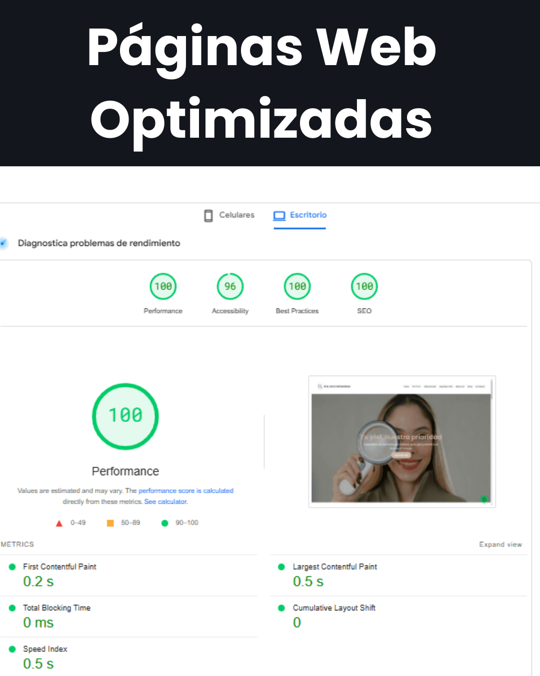 Página Web Optimizada